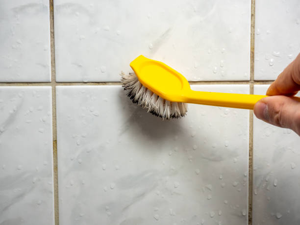  Robie Creek, ID Mold Removal Pros