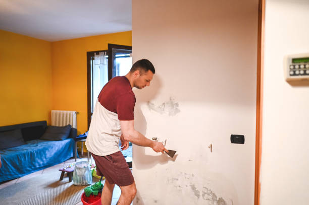 Professional Mold Removal in Robie Creek, ID